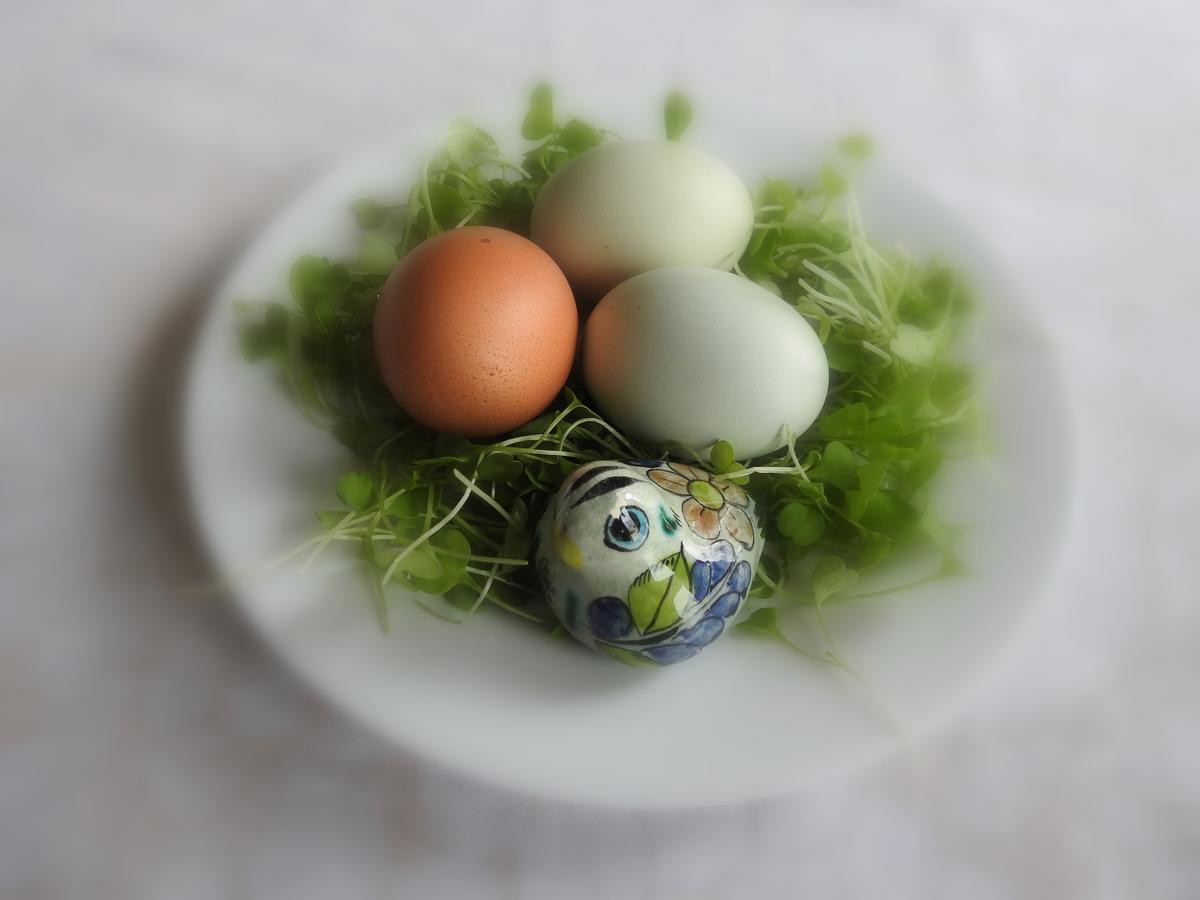 Carrying Place The Empty Nest B & B المظهر الخارجي الصورة