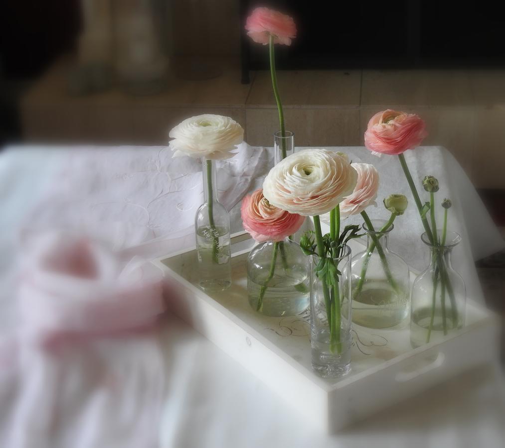 Carrying Place The Empty Nest B & B المظهر الخارجي الصورة